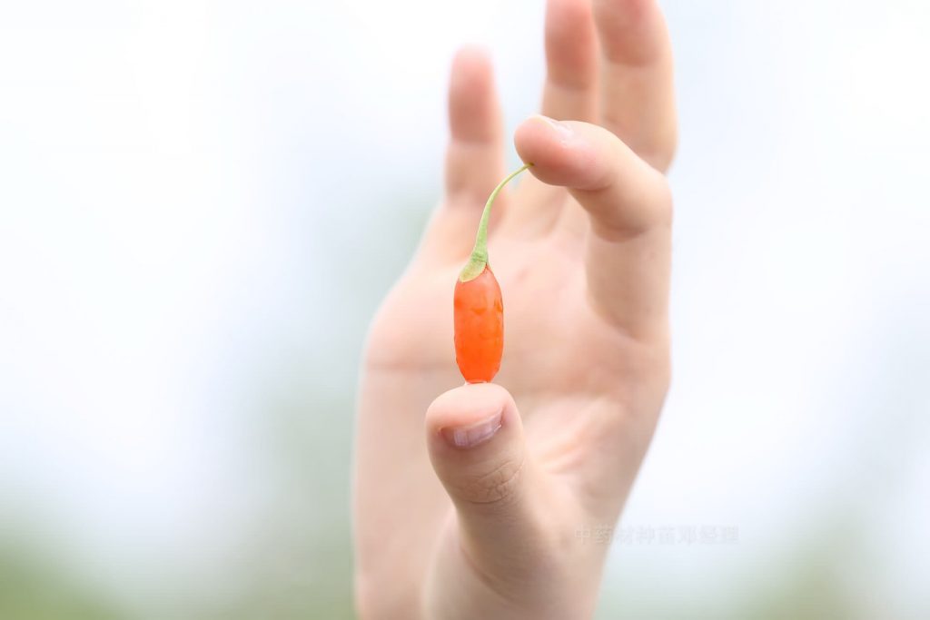 中药材种植技术大全